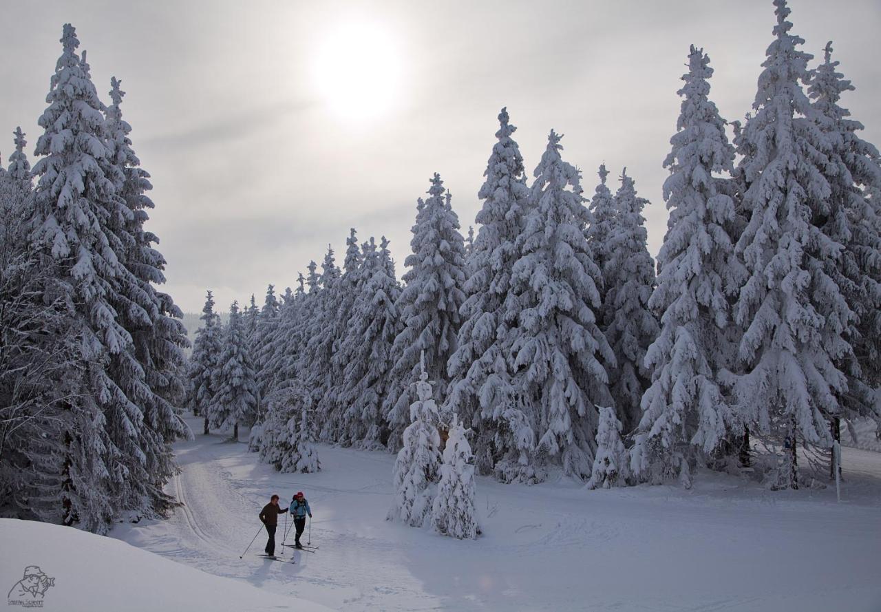 Gipfelstuermer Winterberg Exterior foto